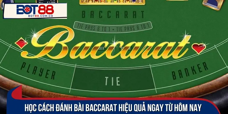 Mẹo hay để trở thành cao thủ baccarat bất bại 